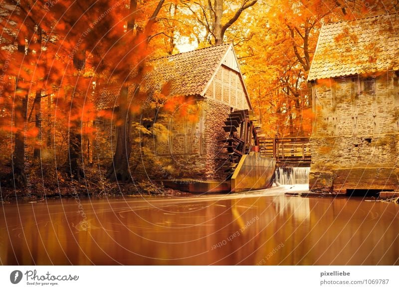 Mühle Herbst ruhig Natur Wasser Sonnenlicht Schönes Wetter Baum Teich See Bach Fluss Wasserfall Erholung natürlich braun orange Wasseroberfläche
