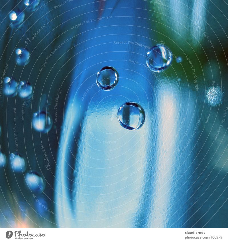 *blubber* Hintergrundbild Luft einfach aufsteigen Mineralwasser Wasserflasche Trinkwasser Luftblase Sauerstoff atmen Blauton Blubbern sprudelnd Kohlensäure blau