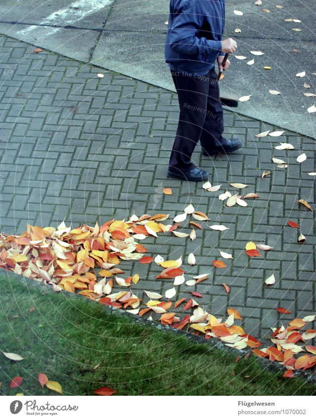 Straßenfeger 3 Herbst kämpfen herbstlich Herbstlaub Herbstfärbung Herbstbeginn Herbstwald Herbstwetter Herbstlandschaft Kehren Besen Besenstiel Blatt Parkplatz
