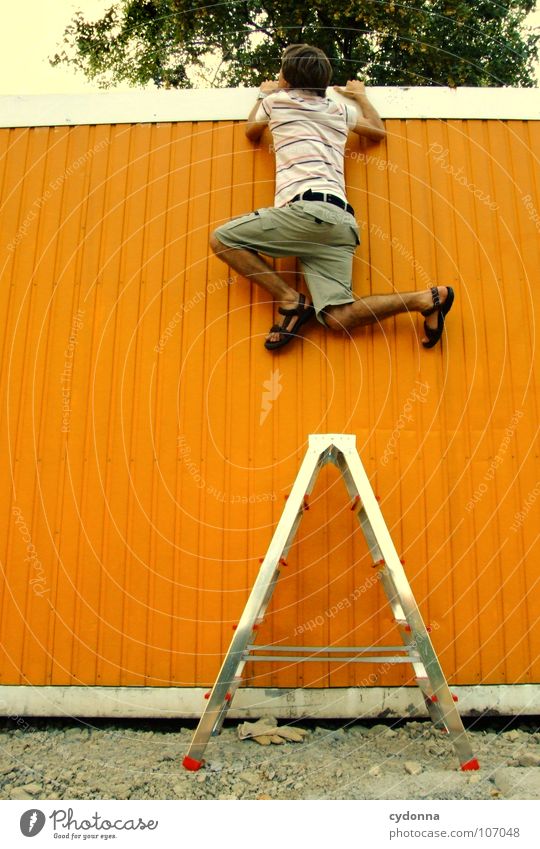 Neugier genügt Mann Kerl hängen Wand Verbote neu geheimnisvoll Vogelperspektive außergewöhnlich innovativ Auftrag Wunsch Logik planen Arbeit & Erwerbstätigkeit