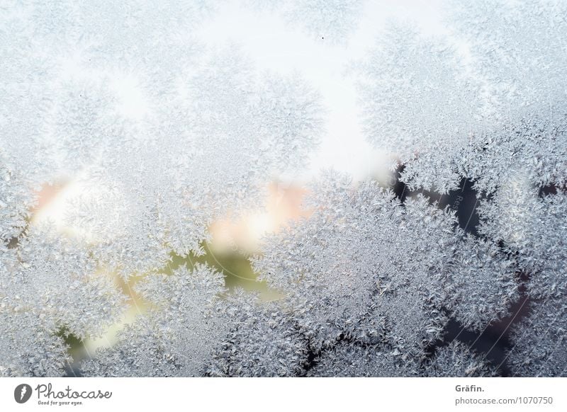 Väterchen Frost Luft Wasser Sonnenlicht Winter Eis Fenster Fensterscheibe Glas Kristalle frieren kalt Kitsch weiß Romantik Klima Nostalgie rein Umwelt