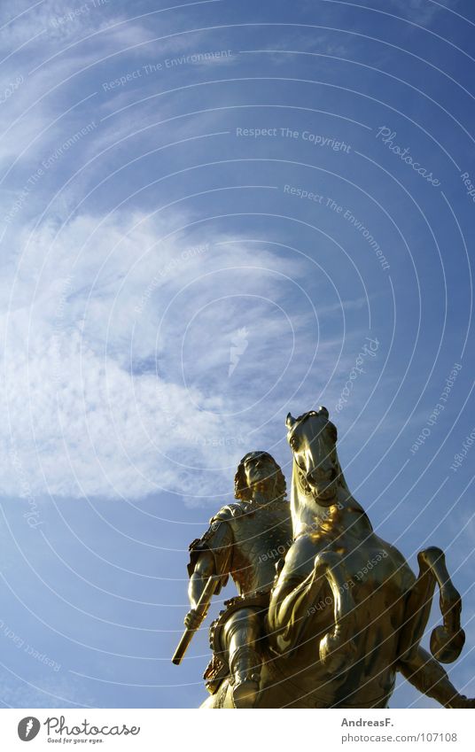 ..ich war so hoch auf der Leiter... Dresden Pferd Gold Sachsen stark Denkmal Statue Kunst Juwelier historisch Macht goldener reiter Reiter König
