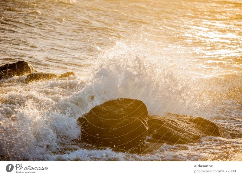 Ostseewelle Landschaft Wasser Wassertropfen Sonnenaufgang Sonnenuntergang Sonnenlicht Sturm Felsen Wellen Küste stark Gischt Brandung Mecklenburg-Vorpommern