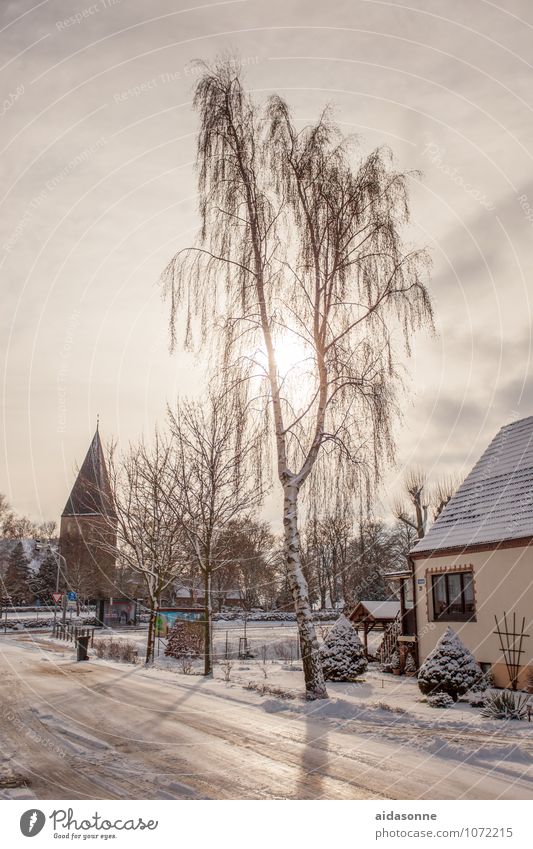 Dorf Natur Himmel Winter Schönes Wetter Eis Frost Schnee Lambrechtshagen Mecklenburg-Vorpommern Europa Bundesadler Menschenleer Kirche Zufriedenheit Glaube