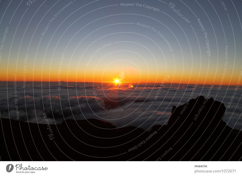 Sonnenaufgang über den Wolken Landschaft Himmel Sonnenuntergang La Réunion einzigartig Erholung erleben Ferien & Urlaub & Reisen Natur rein Unendlichkeit