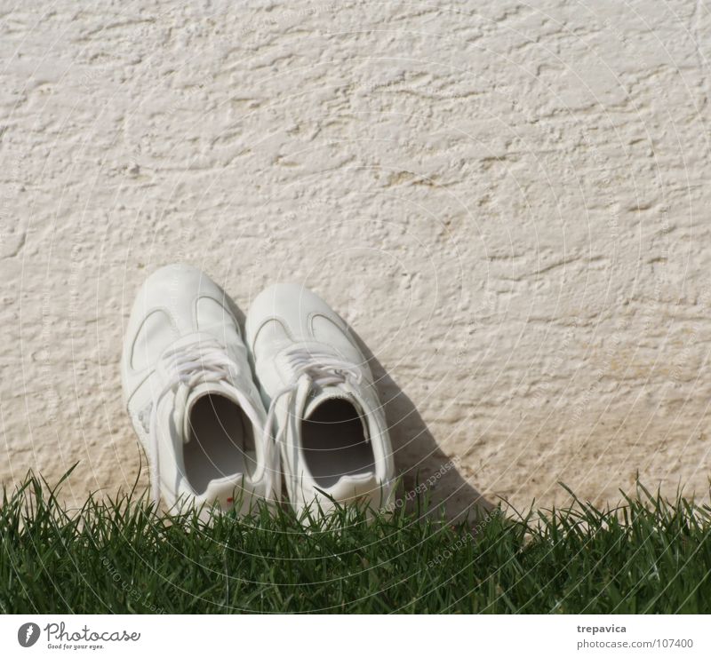 weiss- gruen Schuhe weiß Gras grün Wand Turnschuh trocken leer Sommer Pause gewaschen Blume Wiese Bekleidung Spielen Bodenbelag Fuß Einsamkeit fusskleidung