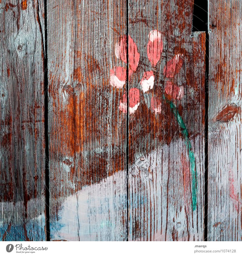 Mit freundlichen Grüßen Blume Holz alt Sehnsucht Hoffnung Wandel & Veränderung Farbstoff gemalt Frühling Gruß Glückwünsche Farbfoto Außenaufnahme Nahaufnahme