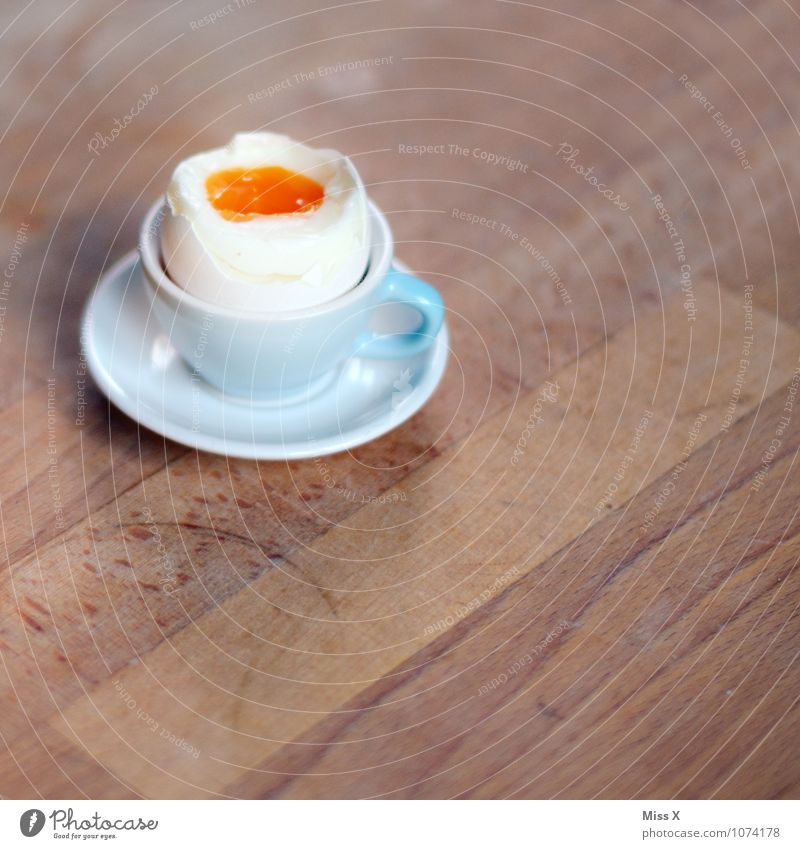 Ei Ei Ei Lebensmittel Ernährung Essen Frühstück Bioprodukte Tasse Gesunde Ernährung lecker gelb Appetit & Hunger Hühnerei Eierbecher kochen & garen