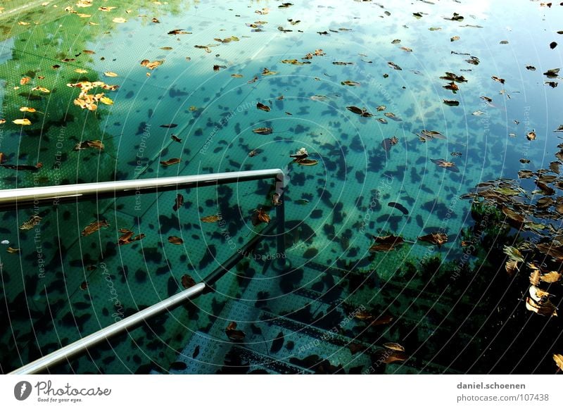 neulich im Freibad Schwimmbad Herbst Saison Saisonende Blatt zyan grün Hintergrundbild abstrakt Stimmung Licht Tod leer dreckig Oberfläche Vergänglichkeit