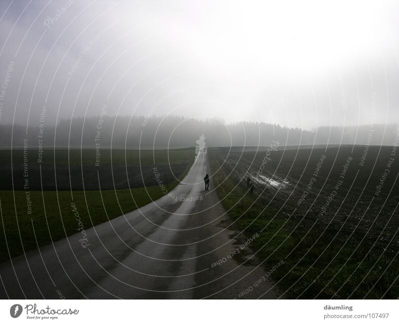 Felder im Nebel ruhig ungewiss Herbst Wege & Pfade Spaziergang