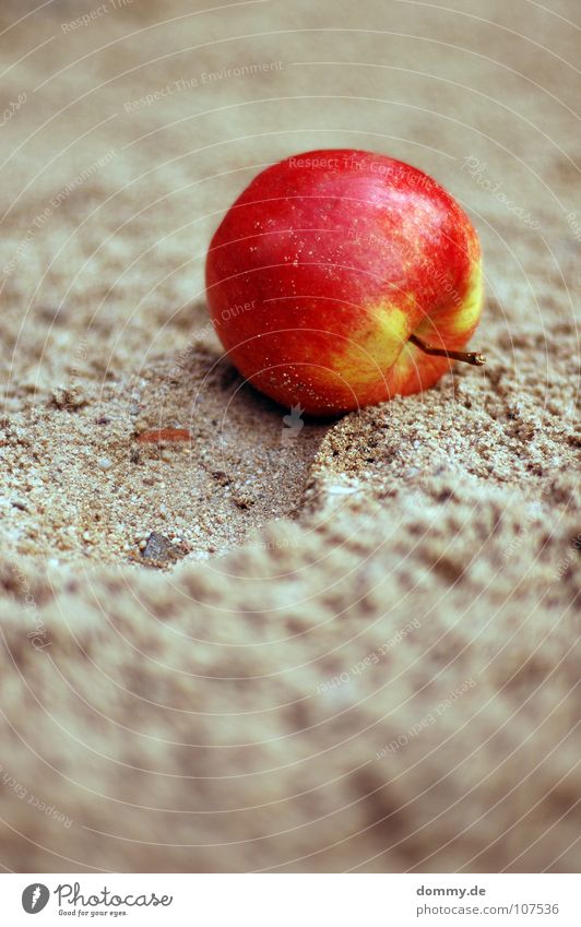 der apfel fällt ... rot grün klein Makroaufnahme rund Spuren Tiefenschärfe lecker Schornstein Ernährung Sandkasten Spielplatz Spielen Frucht Apfel Stein Rolle