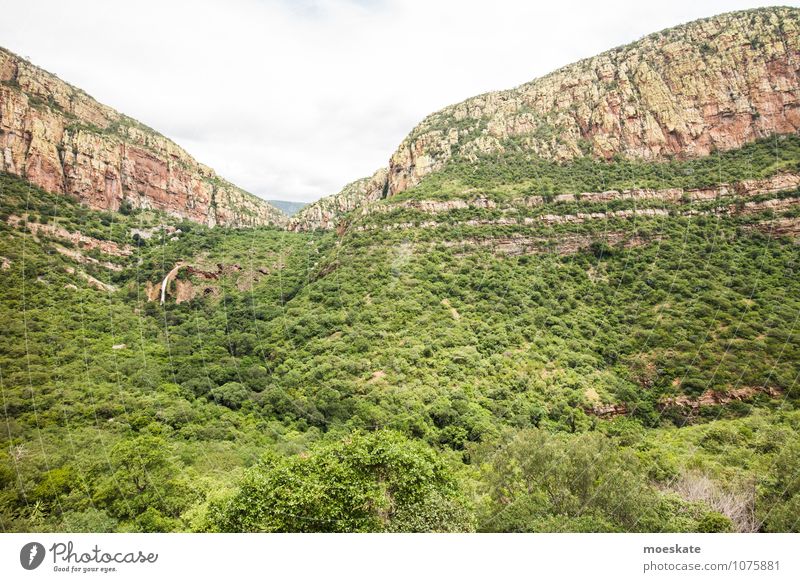 Olifants River South Africa Baum grün Afrika Südafrika Wasserfall Schlucht Felsen Wald Farbfoto Gedeckte Farben Menschenleer Textfreiraum unten Tag