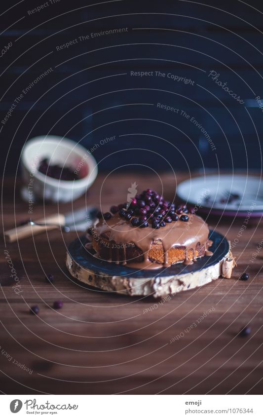 Marmorkuchen Frucht Kuchen Dessert Süßwaren Schokolade Ernährung lecker süß braun Blaubeeren Farbfoto mehrfarbig Innenaufnahme Menschenleer Textfreiraum oben