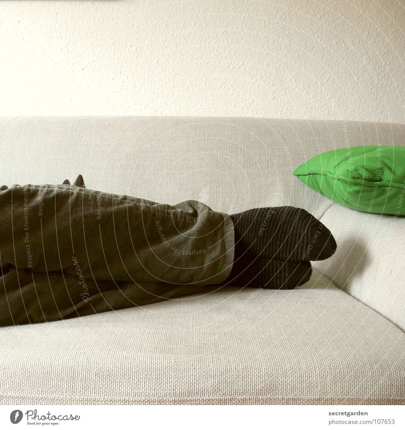 hier findet mich niemand! Ringelsocken Strümpfe Kissen Bekleidung Hose grün khakigrün schwarz grau Sofa schlafen horizontal Material ruhig ruhend Mann