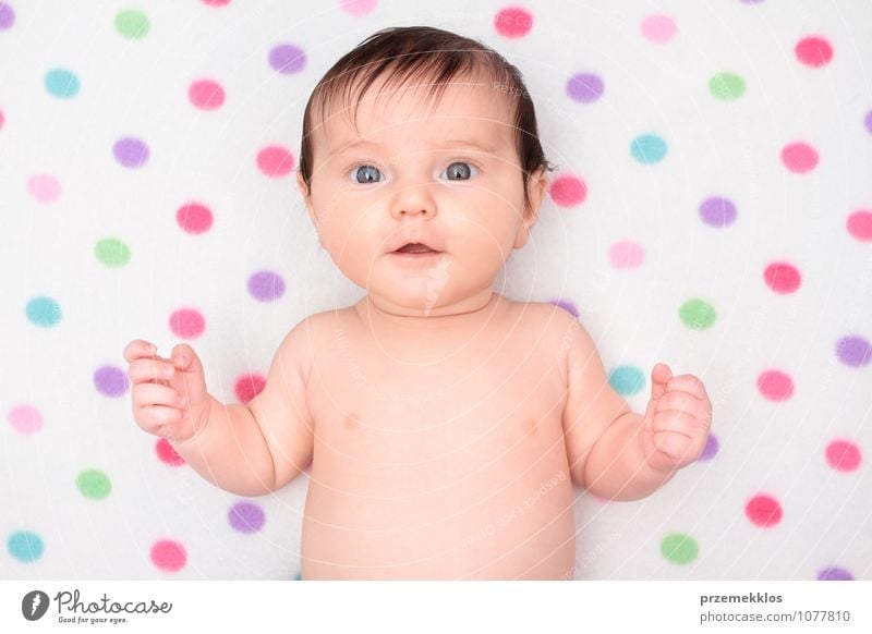 Kleines Baby, das auf Decke mit bunten Tupfen liegt Lifestyle schön Körper Kind Mensch Mädchen Kindheit 0-12 Monate klein niedlich weich rein unschuldig