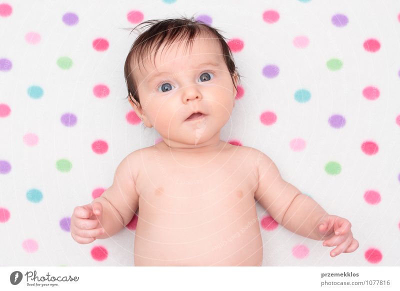 Kleines Baby, das auf Decke mit bunten Tupfen liegt Lifestyle Körper Kindererziehung Mädchen Kindheit 1 Mensch 0-12 Monate klein niedlich weich Liebe