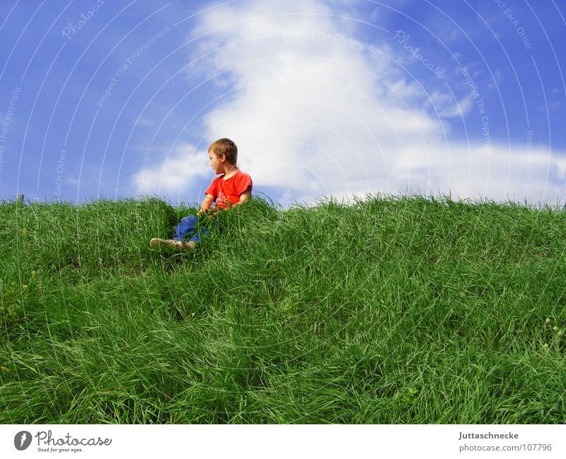 Der beste Überblick grün rot Gras Kind Junge Aussicht fertig Top T-Shirt Zufriedenheit Pause Wolken Froschperspektive hochlaufen Erfolg blau Bahndamm Freiheit