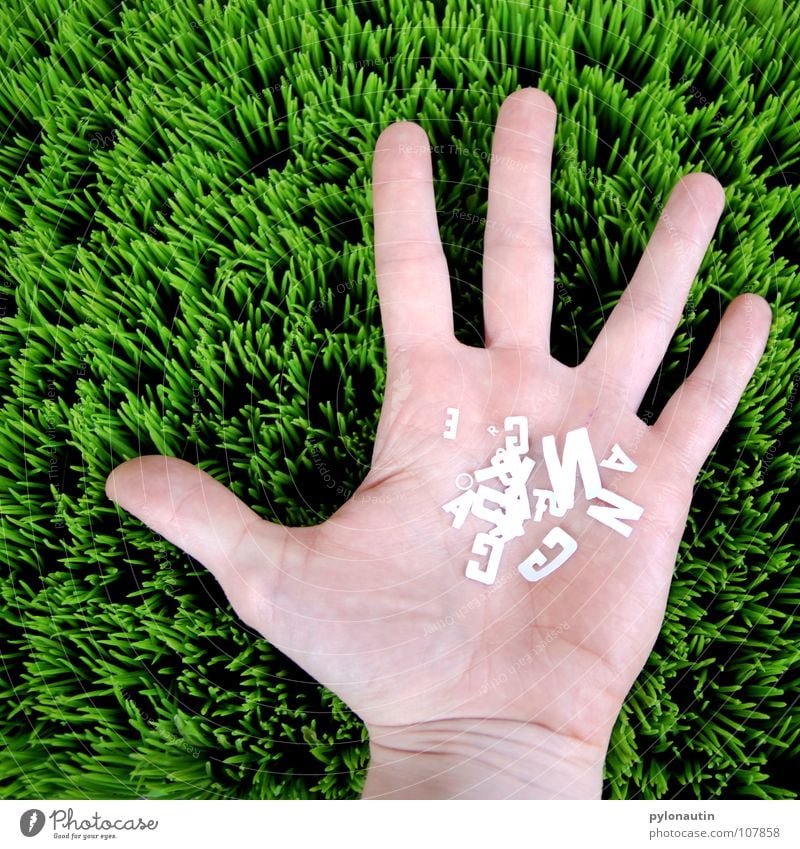 Buchstabensalat Hand Gras Finger Lateinisches Alphabet Typographie weiß grün Kunstrasen Wiese Handfläche obskur Haut typograhie Rasen Statue Arme Körperteile