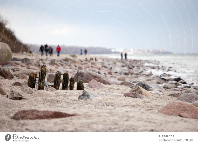 Ostseestrand Landschaft Sand Winter Schönes Wetter Küste wandern achtsam Vorsicht Gelassenheit ruhig Ausdauer Langeweile Fernweh Einsamkeit bequem Heiligendamm