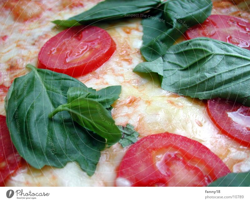 Pizza Mozarella Mozzarella Käse Physik Ernährung Tomate Wärme