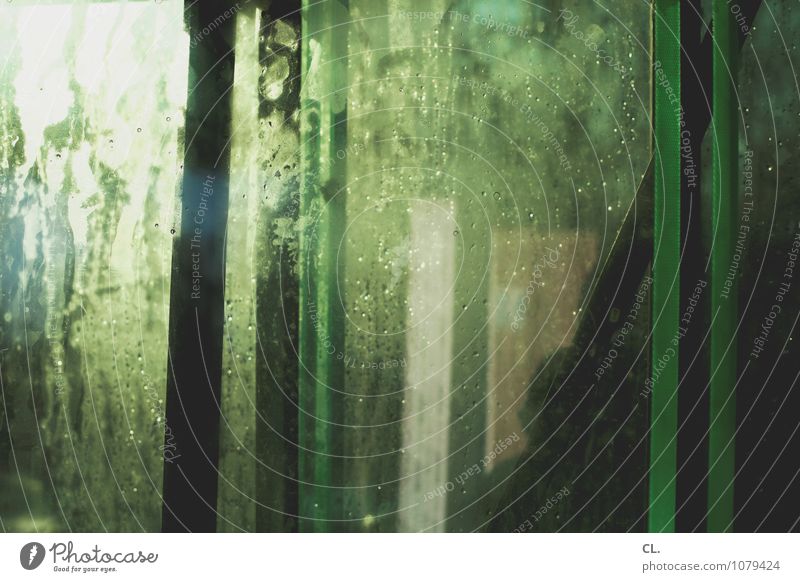 es ist grün Wassertropfen Fenster Fensterscheibe außergewöhnlich nass ästhetisch Inspiration komplex Kreativität Farbfoto Experiment abstrakt