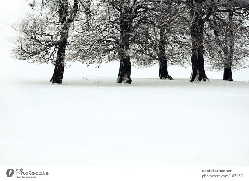 Weihnachtskarte 5, die die Nr 6 ist Baum Winter Schwarzwald weiß Tiefschnee wandern Freizeit & Hobby Ferien & Urlaub & Reisen Hintergrundbild Schneelandschaft