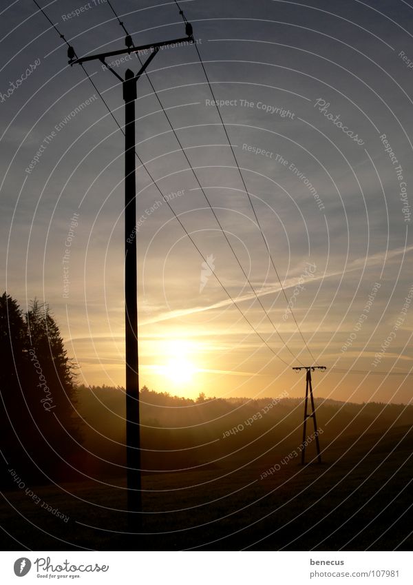 Über Land Elektrizität Strommast Leitung 3 Sonnenlicht Morgen Sonnenaufgang Wiese Waldrand Nebel Nebelbank Licht Infrastruktur Verbindung Elektrisches Gerät