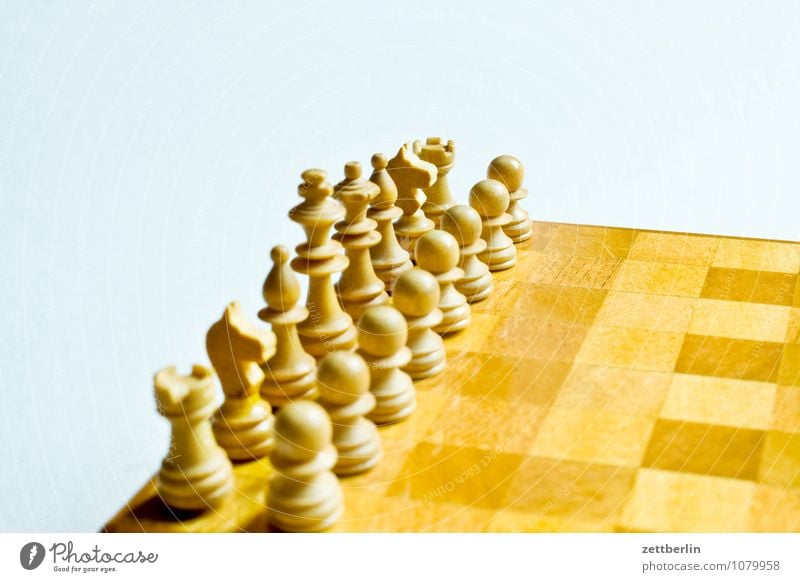 Schach Anordnung Beginn Duell Gegner kämpfen Schachbrett Schachfigur Spielen Zweikampf Landwirt Turm springer Läufer König Dame weiß Textfreiraum