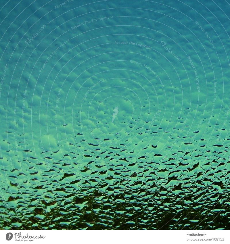 goutte de pluie à la fenêtre (frâsösiesch) Regen Fenster grün schwarz Raum Baum Makroaufnahme Nahaufnahme Himmel Wasser raindrops Wassertropfen gouttes window