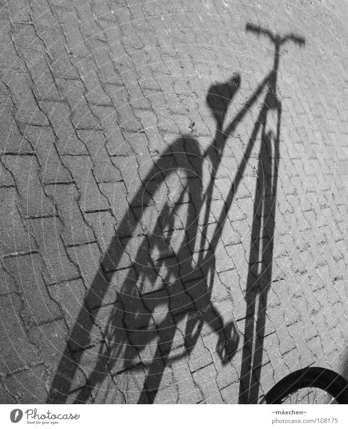 Schattenrad Fahrrad schwarz weiß Kurbel Pedal Bar Gabel Backstein Furche fahren Aufenthalt stagnierend Radrennen Spielen Extremsport shadow bicycle dirt street