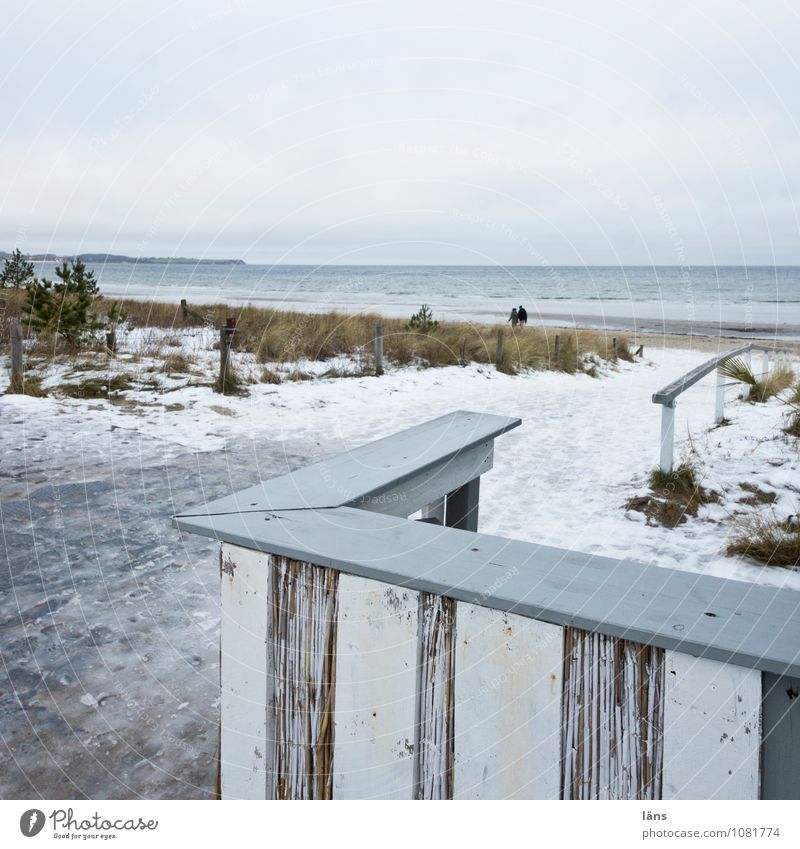 Gedanken können ziehen Strand Ostsee Schnee kalt Frost Himmel Erholung