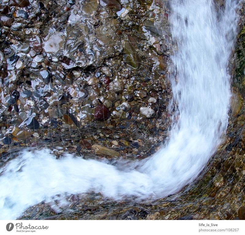 _kein_Leben_ohne_ Wasser_ Rauschen fließen Bach nass weich zart berühren Kostbarkeit Flut Fluss Kraft Stein anna water Durst Schwitzer Bächle in den Bergen