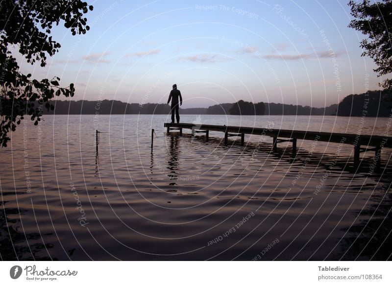 Der neue Tablediver I See Teich Wellen Morgen Nebel Steg Mann Wald ruhig Meditation Frieden Wasser Morgendämmerung Silhouette