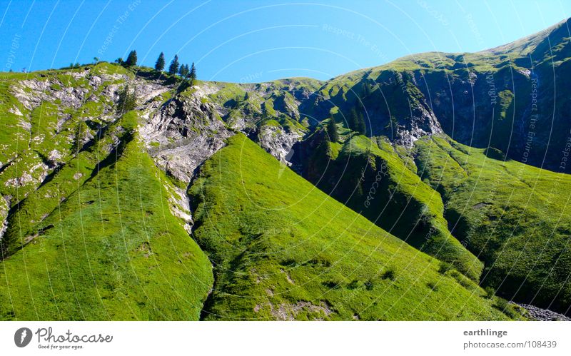 Ho-Ho, Ho-Hohe Berge Tanne Gras grün Sommer Felsspalten Farbfoto Digitalfotografie Querformat saftig Zufriedenheit Berge u. Gebirge Stein blau Idylle Erholung