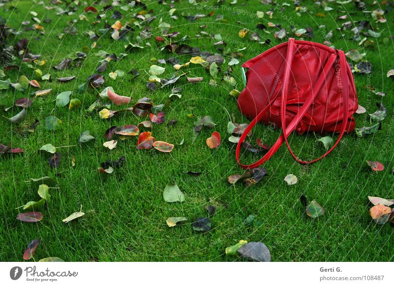 gripsack rot gelb grün braun mehrfarbig Blatt frisch Herbst Eindruck Herbstlaub Wiese saftig nass Tasche Beutel Handtasche schick Farbfleck grün-rot