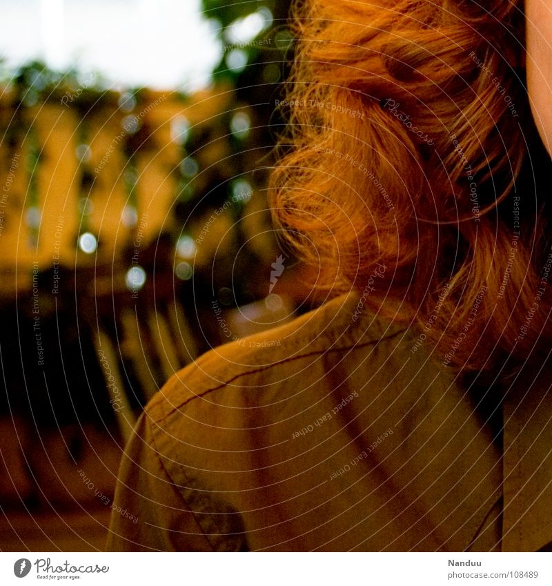 Rotbraun schön Haare & Frisuren Frau Erwachsene Herbst Hemd rothaarig Locken weich gelb rotbraun Schulter Ocker Warme Farbe Kinn zerzaust Erdfarben Dauerwelle