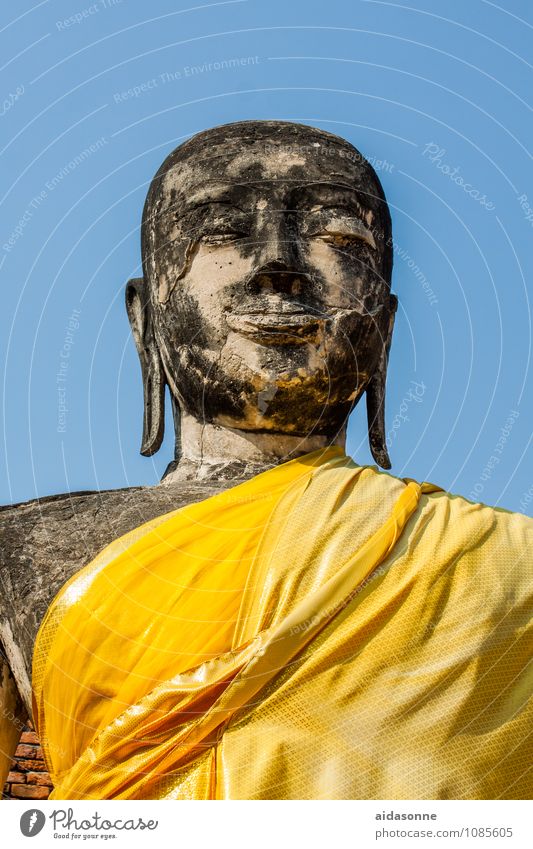 Buddha Skulptur Gefühle Akzeptanz Vertrauen Freundschaft Liebe Treue Toleranz vernünftig Weisheit klug Farbfoto Tag Sonnenlicht