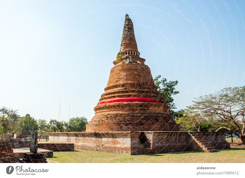 Ayutthaya Pagode Thailand Kleinstadt Ruine Sehenswürdigkeit Stimmung Zufriedenheit achtsam Wachsamkeit Gelassenheit ruhig Farbfoto Außenaufnahme Tag Sonnenlicht