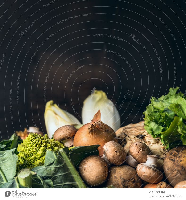 Saisonales Gemüse auf dunklem Hintergrund Lebensmittel Ernährung kaufen Stil Design Gesunde Ernährung Sommer Garten Küche Natur Hintergrundbild Romanesco dunkel