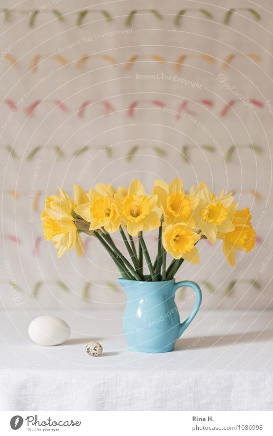 Nr. IV Lifestyle Ostern Blume Blühend leuchten hell blau gelb Lebensfreude Frühlingsgefühle Stillleben Vase Tischwäsche Narzissen Ei Dekoration & Verzierung