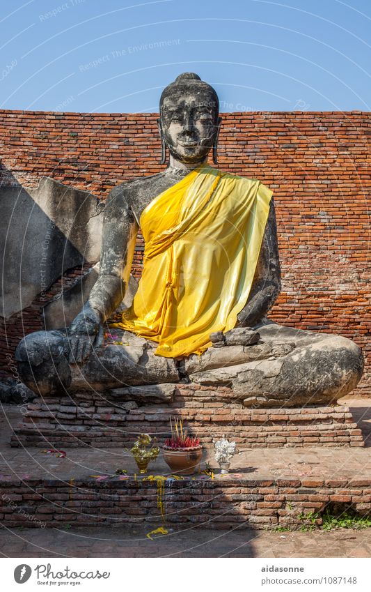 Buddha Kunstwerk Skulptur Kultur Gefühle Zufriedenheit selbstbewußt friedlich Vorsicht Gelassenheit Weisheit Gerechtigkeit Farbfoto Menschenleer Tag Sonnenlicht