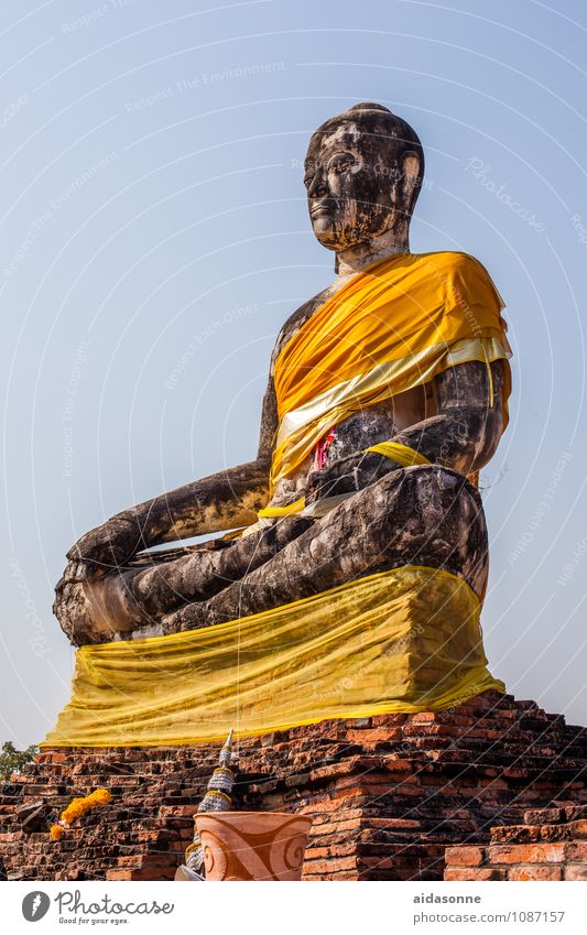 Buddha Kunst Ausstellung Skulptur Kultur Subkultur Erholung sitzen Farbfoto Außenaufnahme Menschenleer Tag Licht Sonnenlicht