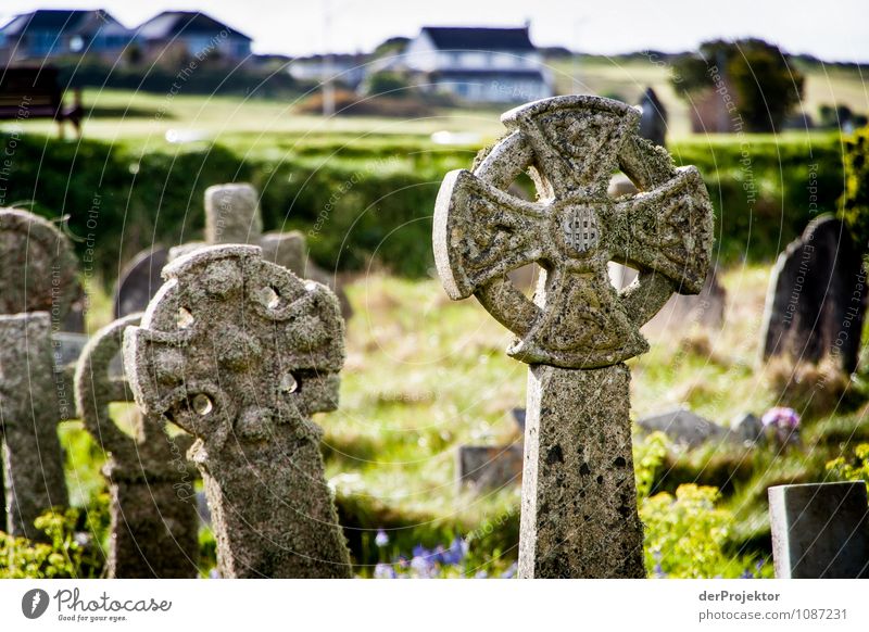 Keltische Grabsteine in Cornwall Umwelt Natur Landschaft Frühling Pflanze Wiese Hügel Nordsee Meer Insel Kleinstadt Sehenswürdigkeit Wahrzeichen Denkmal Gefühle
