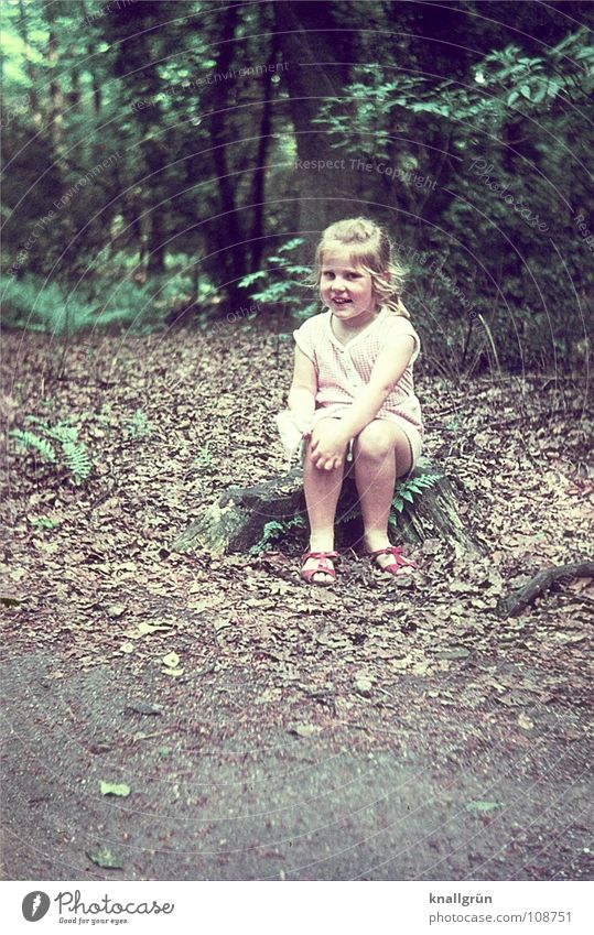 Wie niedlich! Kind Mädchen Wald Baum Sommer Sechziger Jahre Blatt Freude sitzen lachen