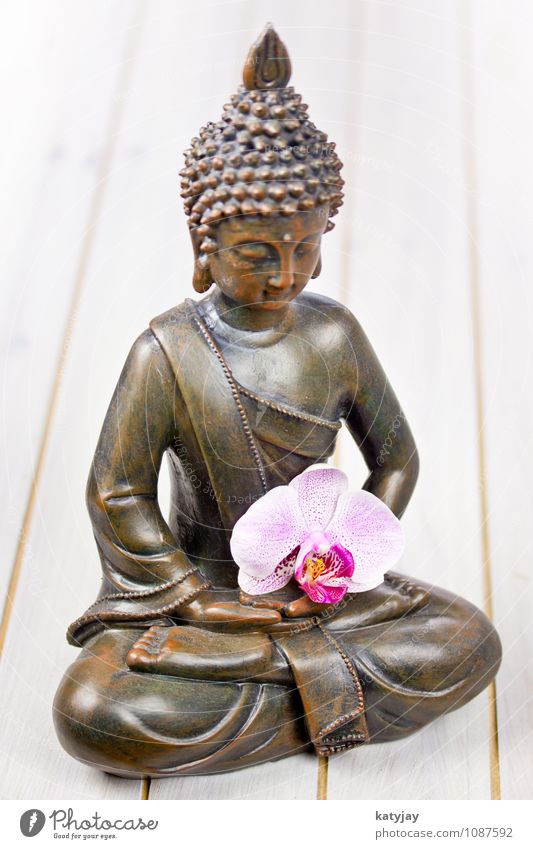 Buddha Buddhismus Figur Orchidee Statue Religion & Glaube siddhartha ruhig Erholung Gesicht asiatisch Gebet Meditation kultig Kunst Kultur Geistlicher Yoga Zen