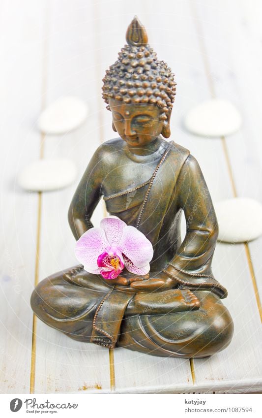 Buddha Buddhismus Figur Orchidee Statue Religion & Glaube siddharta ruhig Erholung Gesicht asiatisch Gebet Meditation kultig Kunst Kultur Geistlicher Yoga Zen