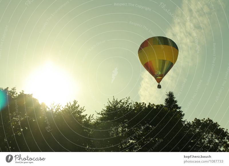 Reise zur Sonne Ausflug Abenteuer Sommer Natur Sonnenlicht Schönes Wetter Verkehrsmittel Ballone Bewegung Erholung fantastisch hoch natürlich Gefühle Glück