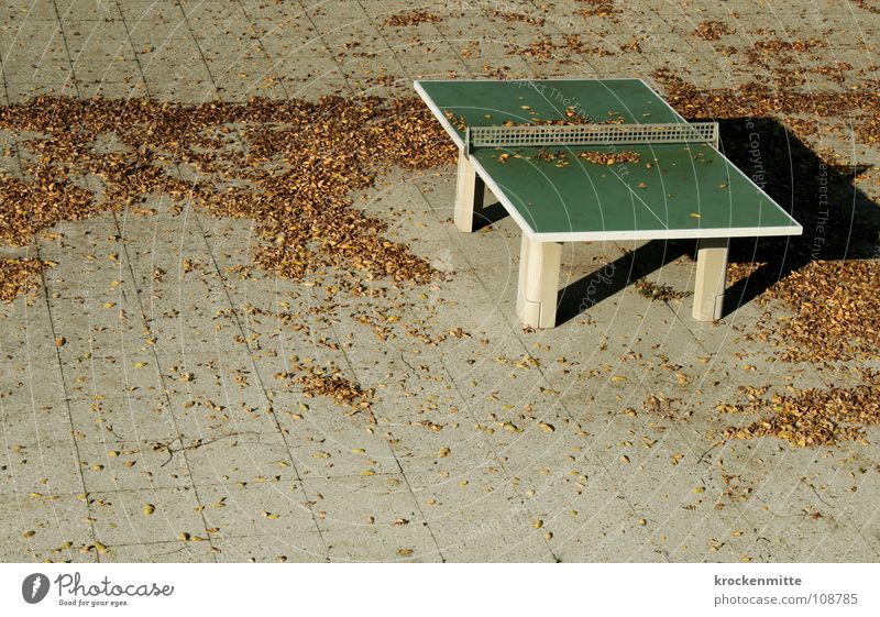 Der Herbst legt sich übers Land Blatt Herbstwetter Spielen Jahreszeiten Bodenplatten Herbstlaub Menschenleer grau Pingpongtisch Ping Pong Tisch Einsamkeit Netz