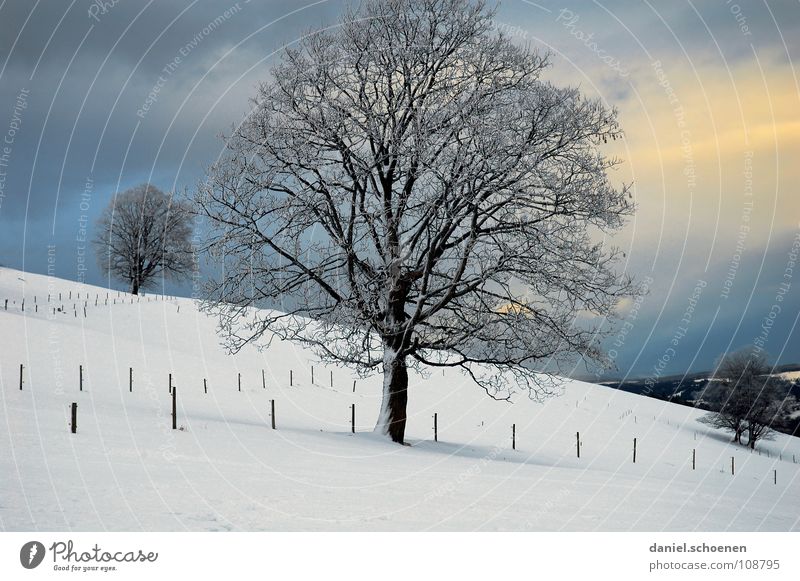 Weihnachtskarte 8 Baum Winter Schwarzwald weiß Tiefschnee wandern Freizeit & Hobby Ferien & Urlaub & Reisen Hintergrundbild Schneelandschaft Horizont Einsamkeit
