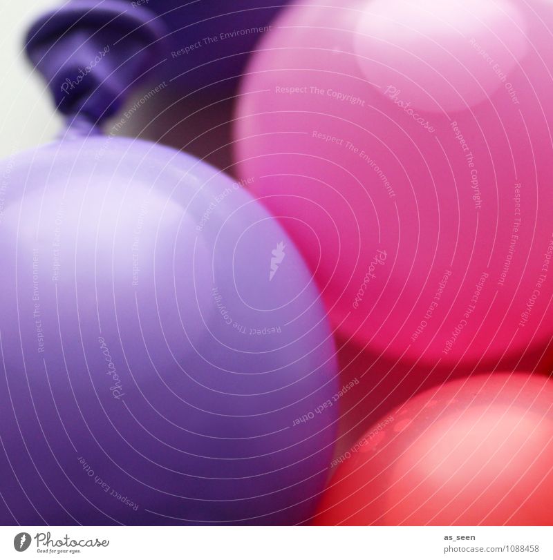 Colour bubbles Lifestyle Freude Leben Party Karneval Geburtstag Kindergeburtstag Kindererziehung Handel Wasser Luftballon Knoten leuchten trendy mehrfarbig